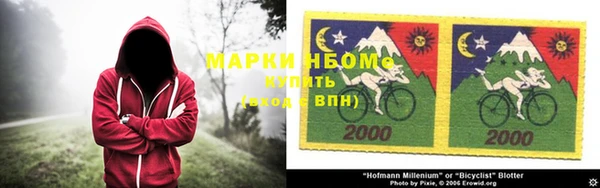 дурь Новодвинск