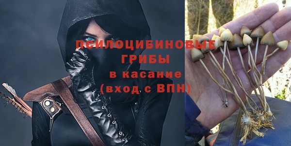 эйфоретик Алексин