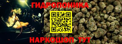 каннабис Аша