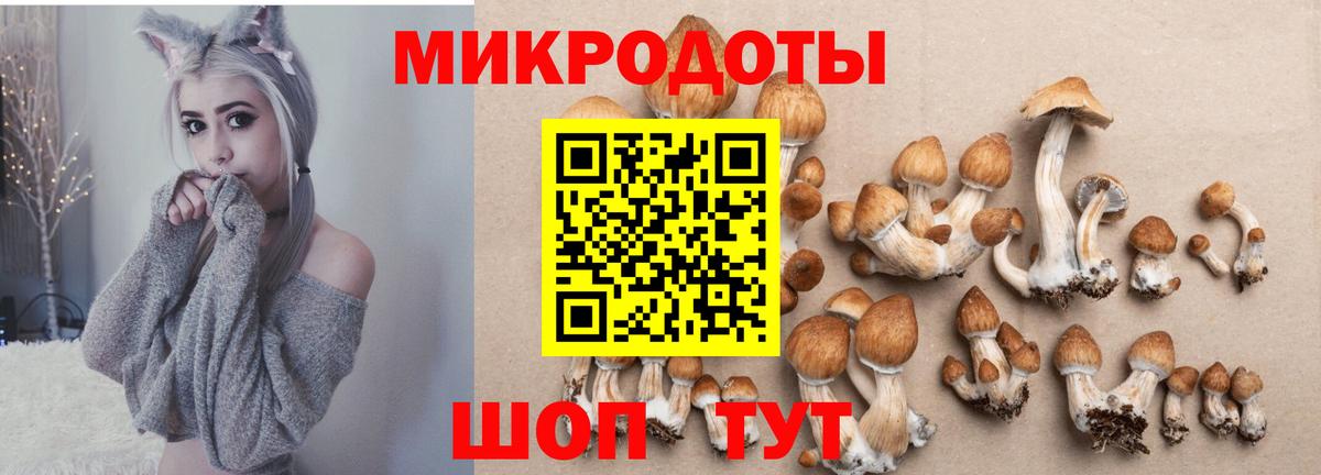 Курск  Псилоцибиновые грибы Psilocybe  закладка  Галлюциногенные грибы ЛСД  Вход с VPN 